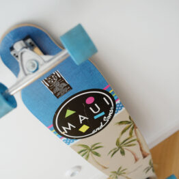 Longboard Maui California